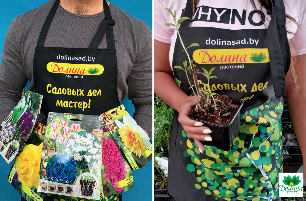 Растений из питомников Бельгии с доставкой по России