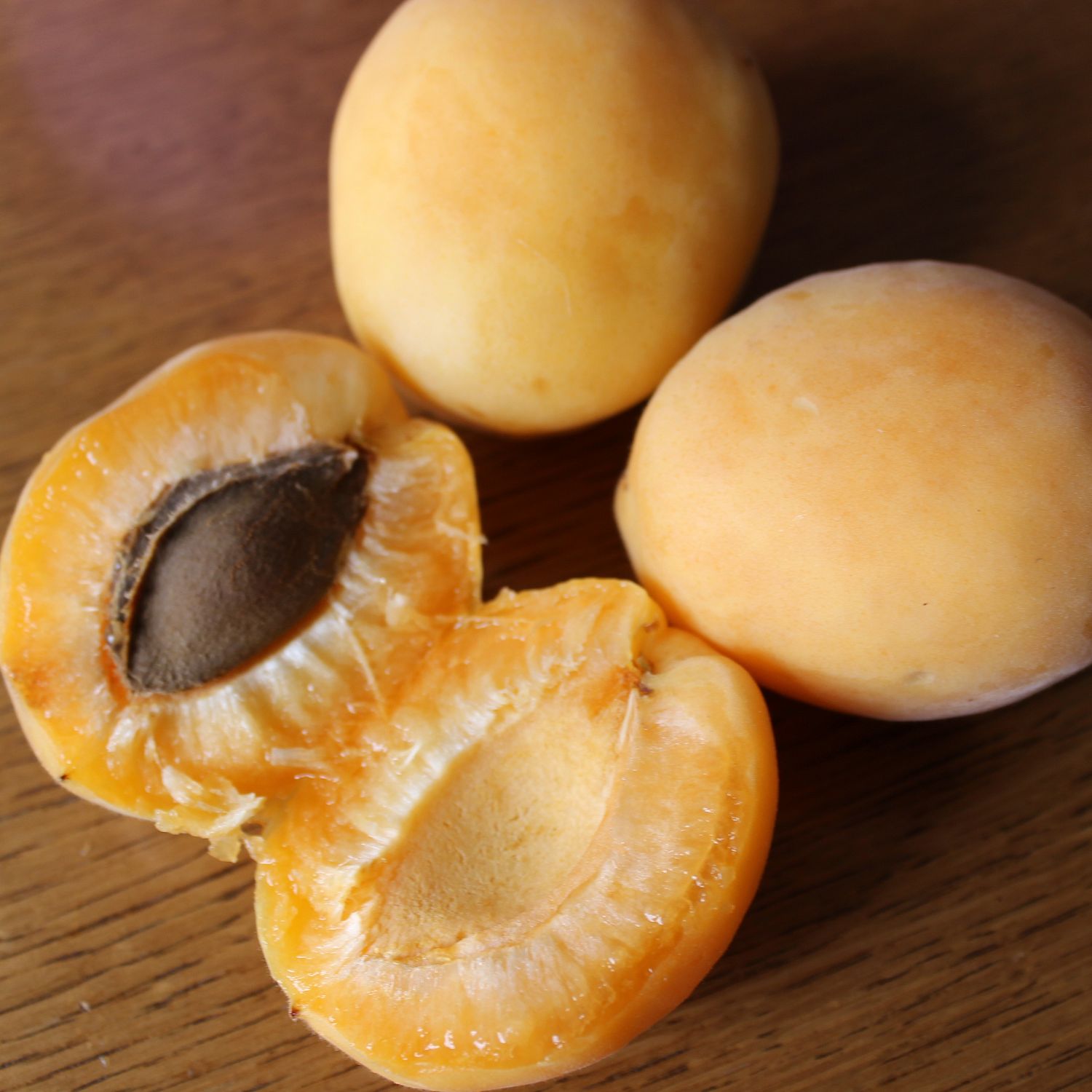 Абрикос Ананасный Цюрупинский Абрикос Ананасный Цюрупинский - Dolina-Sad.Ru