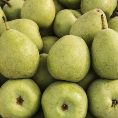 Груша Бессемянка Груша Бессемянка - Dolina-Sad.Ru