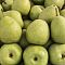 Груша Бессемянка Груша Бессемянка - Dolina-Sad.Ru