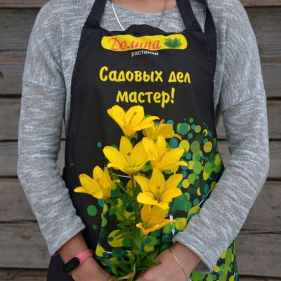 Лилия Йеллоу Каунти Лилия Йеллоу Каунти фото