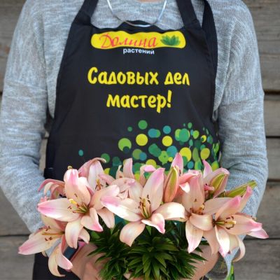 Лилия Изи Вольц Лилия Изи Вольц фото