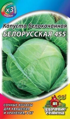 Капуста Белокочанная Белорусская Капуста Белокочанная Белорусская фото