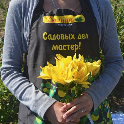 Лилия Фата Моргана Лилия Фата Моргана фото