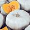Тыква крупноплодная Крошечка-Хаврошечка (А) фото