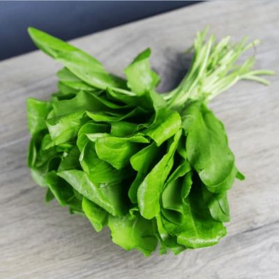 Щавель Малахит (А) Щавель Малахит (А) фото