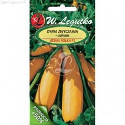 Цукини Атена Полька (Польша) фото