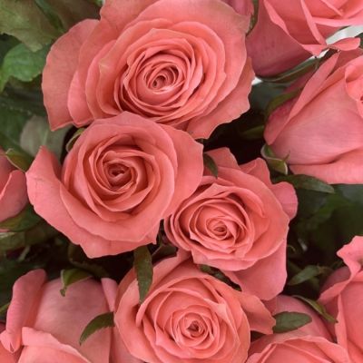 Роза Анна Каренина Роза Анна Каренина - Dolina-Sad.Ru