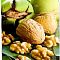 Орех Грецкий Крупноплодный фото
