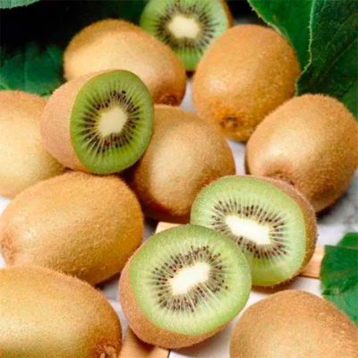 Актинидия деликатесная Дженни Актинидия деликатесная Дженни - Dolina-Sad.Ru