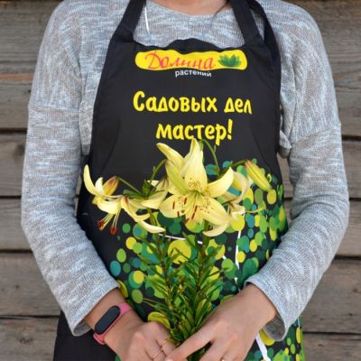 Лилия Свит Саррендер Лилия Свит Саррендер фото