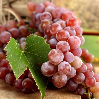 Виноград Зарево Виноград Зарево - Dolina-Sad.Ru