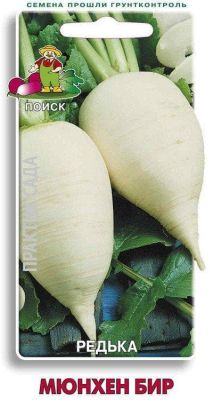 Редька Мюнхен Бир Редька Мюнхен Бир фото