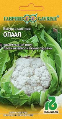 Капуста цветная Опаал (Голландия) Капуста цветная Опаал (Голландия) фото