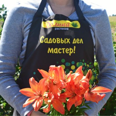 Лилия Изи Лав Лилия Изи Лав - Dolina-Sad.Ru