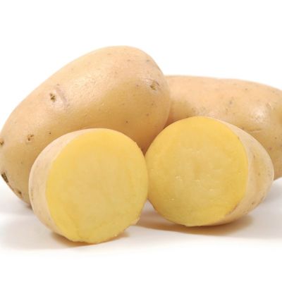 Картофель Примабелль/Очень ранний Картофель Примабелль/Очень ранний - Dolina-Sad.Ru