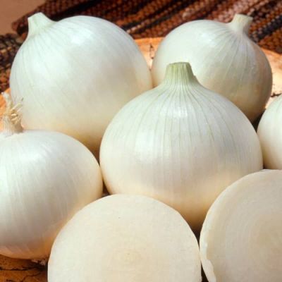 Лук репч. Ялтинский белый автор. Н16 фото