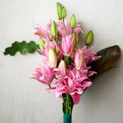 Лилия Роузлили Виола - Dolina-Sad.Ru